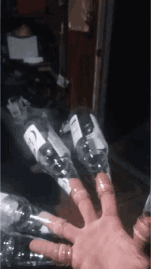 Booze Wasted GIF