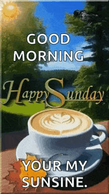 a cup of coffee on a saucer with the words `` good morning happy sunday your my sunshine . ''