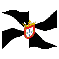 a black and white flag with a crown on it