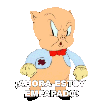 Ahora Estoy Empapado Porky Sticker - Ahora Estoy Empapado Porky Looney Tunes Stickers