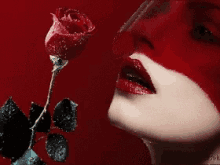 Rose Blindfolded GIF - Rose Blindfolded Lady GIFs