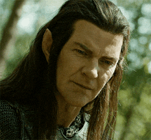 a man with long hair and elf ears is wearing armor