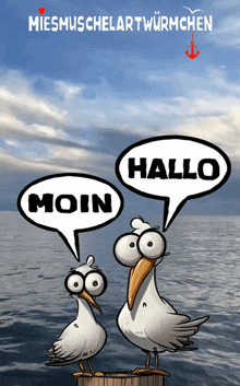 two seagulls are standing next to each other with speech bubbles that say hallo and moin