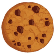 biscuit cookie chocolate chips snack food