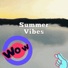 a sign that says summer vibes on it
