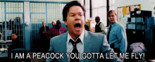 The Other Guys GIF - The Other Guys Mark Wahlberg Peacock GIFs