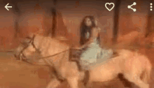 Horse Melia GIF - Horse Melia Tribal GIFs