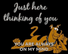Thinking Of You Scooby Doo GIF - Thinking Of You Scooby Doo Shining GIFs