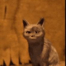 Oooh Cat GIF - Oooh Cat Puss In Boots GIFs