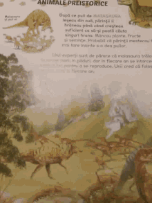 Dinosaur GIF