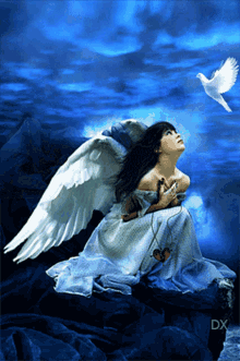 Fallen Angel Angel GIF - Fallen Angel Angel Bird GIFs