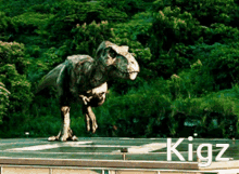 Kigz Dinosaur GIF - Kigz Dinosaur Trex GIFs