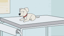 a cartoon drawing of a parrot wearing a doctor 's coat and tie
