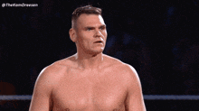 a man without a shirt is standing in a ring with his arms outstretched in front of a crowd .