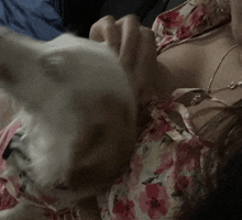Me And Doggy GIF - Me And Doggy GIFs