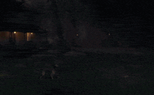 a dog is standing in front of a house with a fireball coming out of its mouth