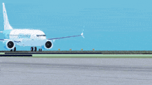 Penguin Airlines If Departure Penguinair GIF