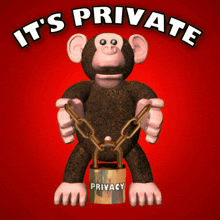 It'S Private Privacy GIF - It'S Private Privacy Padlock GIFs