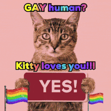 a cat holding a sign that says " gay human kitty loves you "