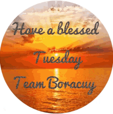 Team Boracuy GIF - Team Boracuy GIFs