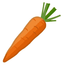 vegetables carrot