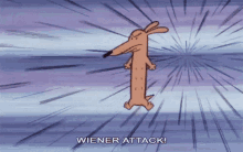 Wiener Attack Dog GIF - Wiener Attack Wiener Dog GIFs