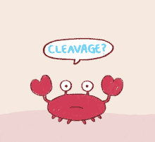 cleavage crab bee and puppycat