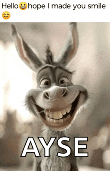 a picture of a donkey with the name ayse written below it