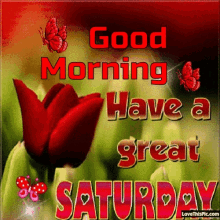 Good Morning Great Saturday GIF - Good Morning Great Saturday Tulips GIFs