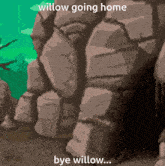 Willow Bunny GIF