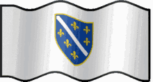 bosna sandzak novi pazar flag