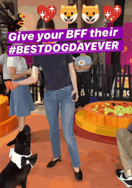 Best dog hot sale day ever