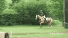 Running Horse GIF - Running Horse GIFs
