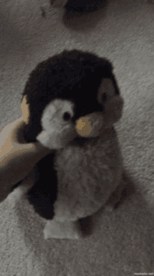 Puff Puff Penguin GIF - Puff Puff Penguin GIFs
