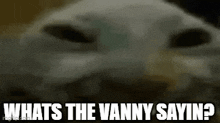 Whats The Vanny Sayin GIF - Whats The Vanny Sayin GIFs