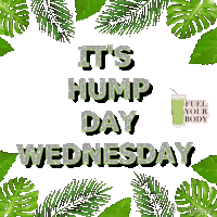 Hump Day Wednesday Sticker - Hump Day Wednesday Stickers