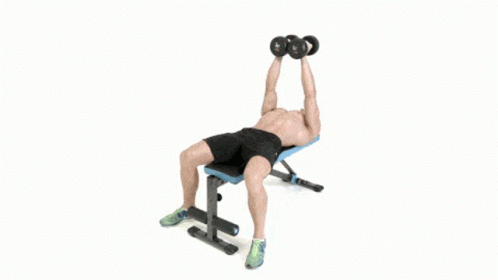 dumbbell chest workout