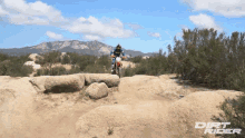 Riding Hamps GIF - Riding Hamps Rocky Trail GIFs