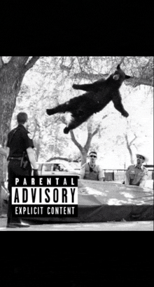 Bear Trampoline Bear Album Cover GIF
