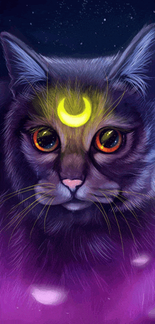 Moon Galactic Kitty GIF - Moon Galactic Kitty GIFs