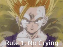 Rule1no Crying Gohan GIF - Rule1no Crying Gohan Ssj2 GIFs