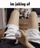 a person is sitting on a bed with their legs crossed and holding a kitten .