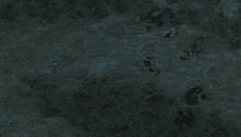 a computer generated image of a person 's head