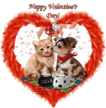 Valentines Day Dog Happy Valentines Day Cat GIF - Valentines Day Dog Happy Valentines Day Cat GIFs