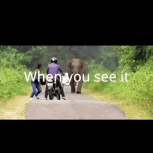 When You See It GIF - When You See It GIFs
