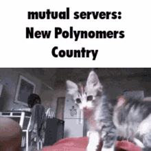 Polynomers New Polynomers Country GIF