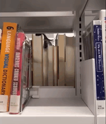 a book called 6 language visual dictionary sits on a shelf with other books