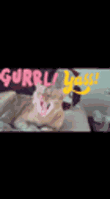 Gurl Yes GIF - Gurl Yes Yas GIFs