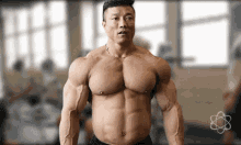 Bodybuilder Posing GIF - Bodybuilder Posing Muscle GIFs