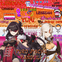 a picture of two anime girls with the words " lesbian pride " on the bottom